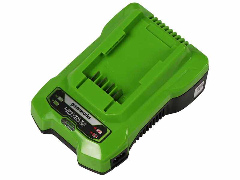Greenworks GD40PSHK2 - Podadora/Cortasetos con p&eacute;rtiga - 2 x 2Ah 40V
