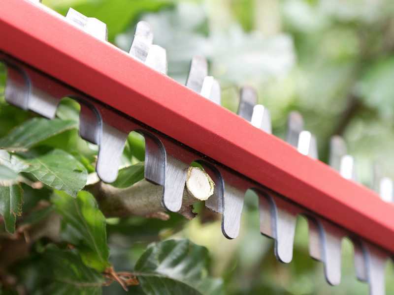 Skil 0429 CA - Cortasetos de bater&iacute;a - Cuchilla de 50 cm - BATER&Iacute;A Y CARGADOR NO EST&Aacute;N INCLUIDOS