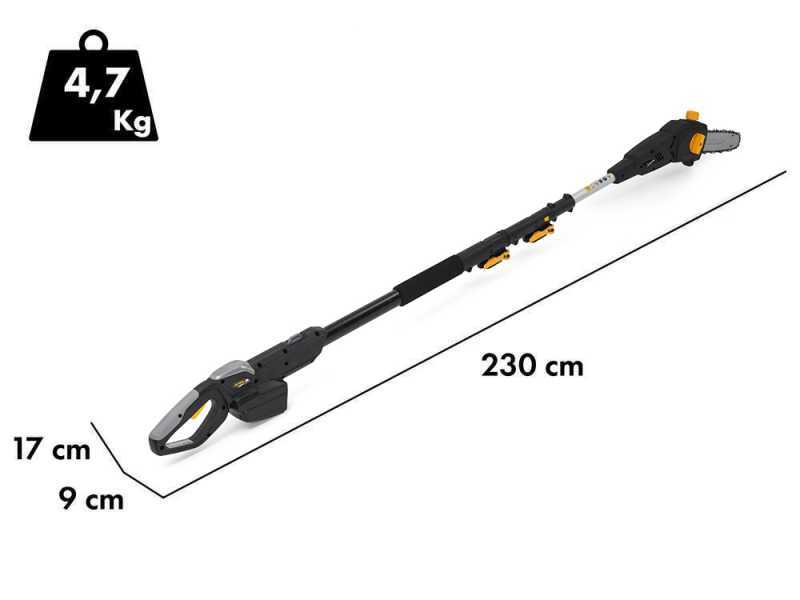 Alpina AM 20 Li Kit - Podadora/Cortasetos con p&eacute;rtiga - 20V/4Ah