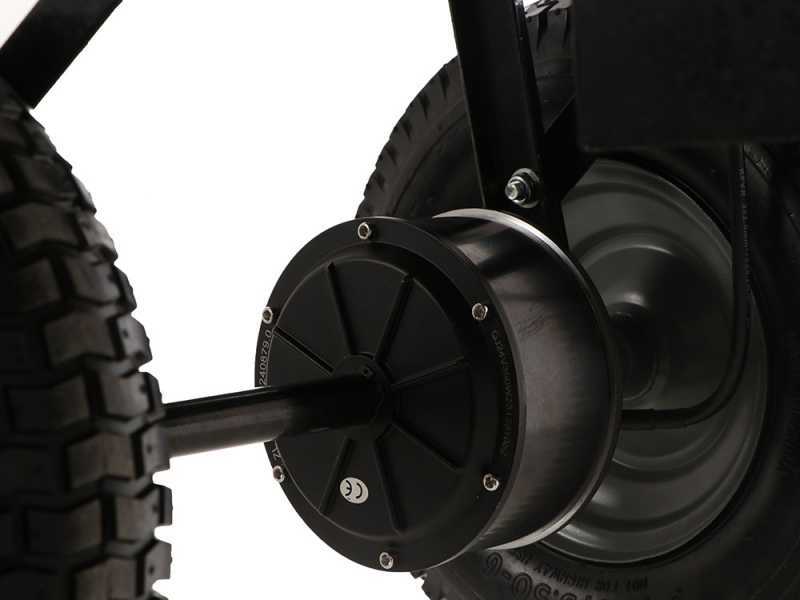 BlackStone WB4-D - Carretilla el&eacute;ctrica - 24V 12Ah