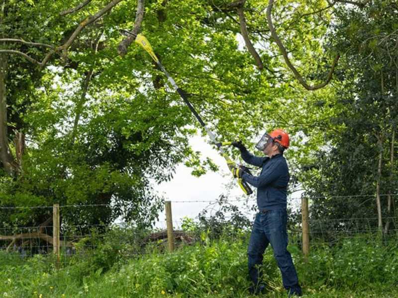 Ryobi RY36PP25A-0 - Podadora de bater&iacute;a con p&eacute;rtiga - Espada de 25cm - MAX POWER 36V 2Ah