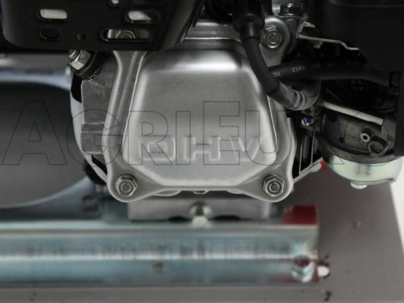 Comet APS 41 - Motobomba fumigadora con carro - Motor de gasolina Honda GX 160
