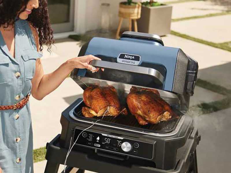 Ninja Woodfire Pro XL OG901EU - Barbacoa el&eacute;ctrica con ahumador