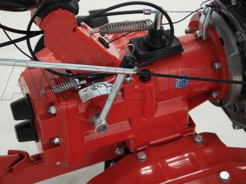 Motoazada Agri 102 con fresa 95 cm - Motor de gasolina Honda GX 200 marchas 3+1