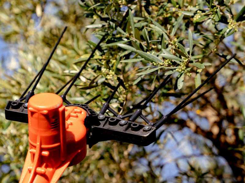 Bahco BCL51 12V - Vareador de aceitunas el&eacute;ctrico de bater&iacute;a - P&eacute;rtiga de aluminio - 230 cm