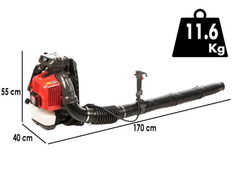 Blue Bird BBL 801 - Soplador de mochila con motor de 2 tiempos