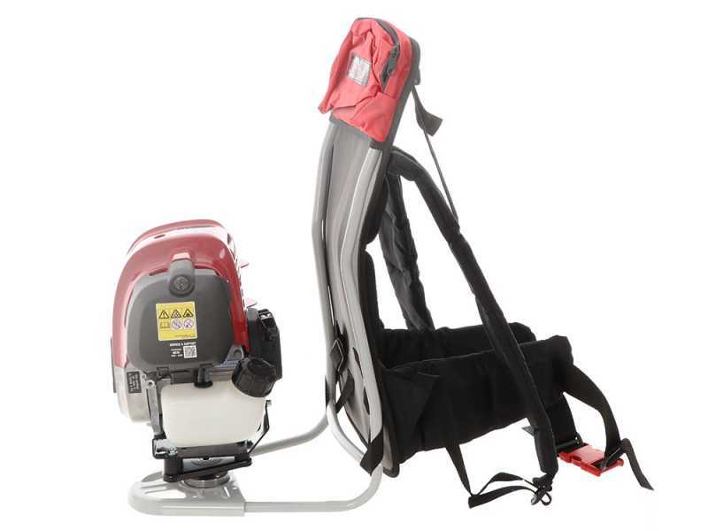 Blue Bird GX50 - Desbrozadora + Vibrador con gancho de gasolina cm 280 motor de mochila Honda - Vibrador de aceitunas