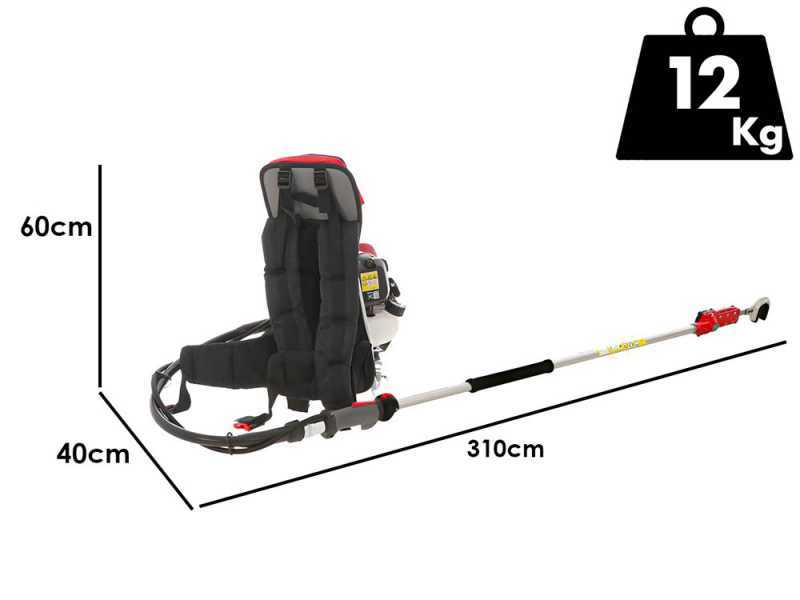 Blue Bird GX50 - Desbrozadora + Vibrador con gancho de gasolina cm 280 motor de mochila Honda - Vibrador de aceitunas