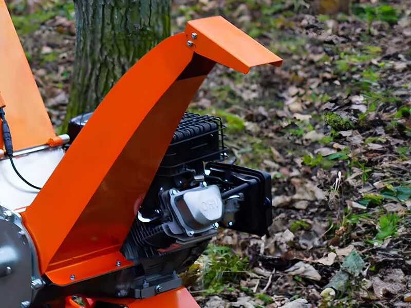 Forest Master FM14DDES - Biotrituradora de gasolina - Motor de gasolina LCT de 14 HP