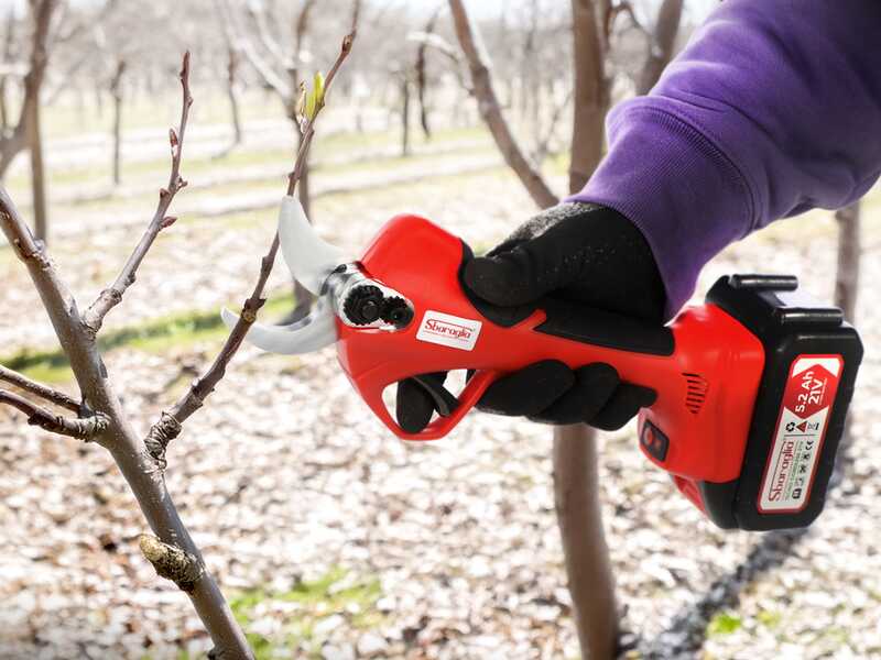 Sbaraglia Tecno Smart 37 - Tijeras el&eacute;ctricas de bater&iacute;a - 21V/5.2Ah