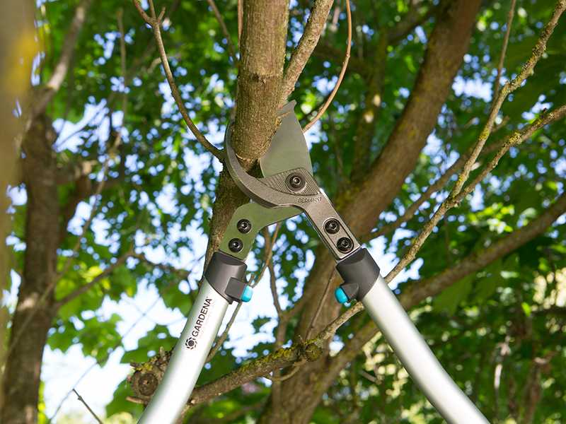 Gardena 700B Premium - Cortarramas Bypass - Longitud 70 cm