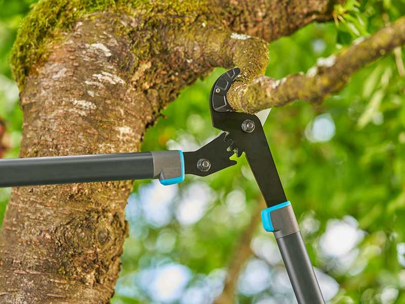 Gardena EnergyCut Pro L - Cortarramas de yunque - Longitud 75 cm