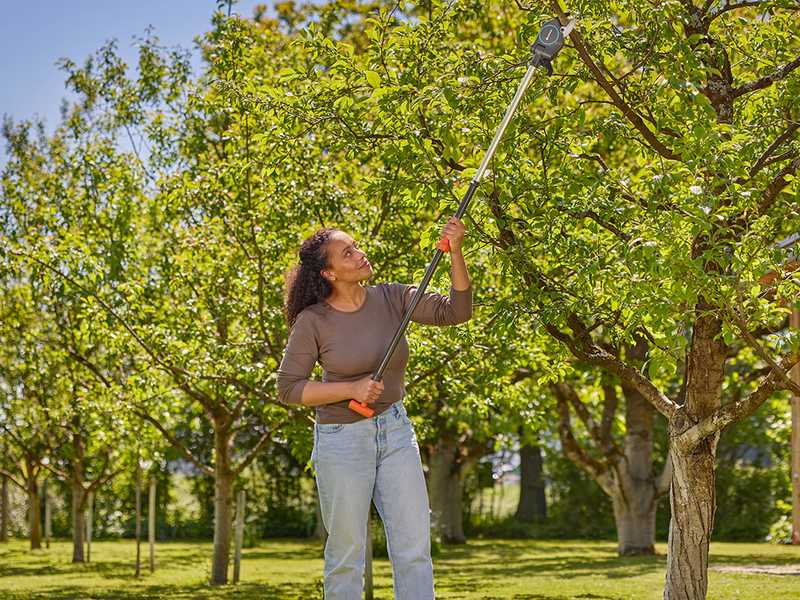 Gardena StarCut Pro S - Tijeras de poda cortarramas con p&eacute;rtiga fija 160cm - &Oslash; 32 mm
