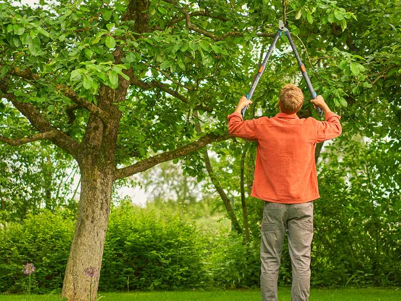 Gardena TeleCut Pro L - Cortarramas Bypass Telescópico - Longitud 65/90 cm