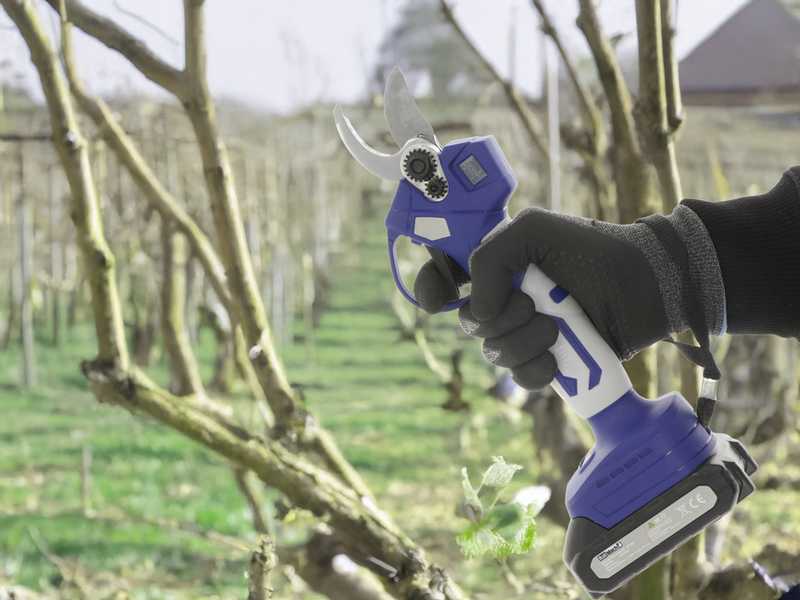 BullMach DIVIANE 25 - Tijeras el&eacute;ctricas de bater&iacute;a - 2x21V 2Ah