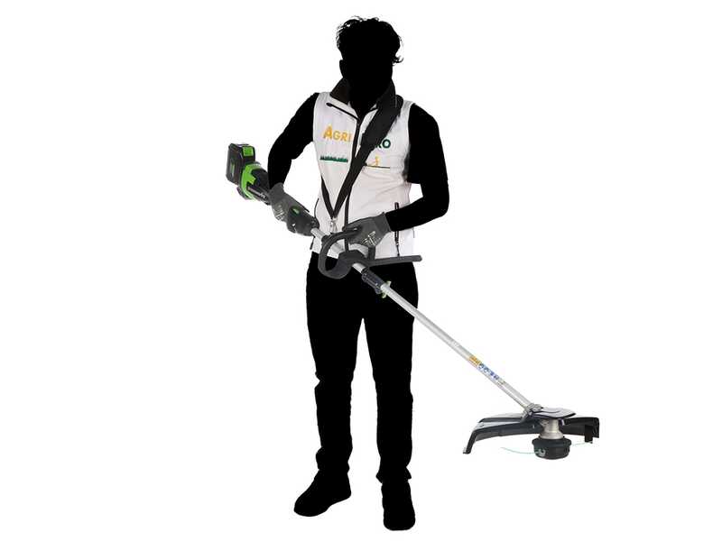 Greenworks GD48BCK4 - Desbrozadora de bater&iacute;a - 48V - 4Ah