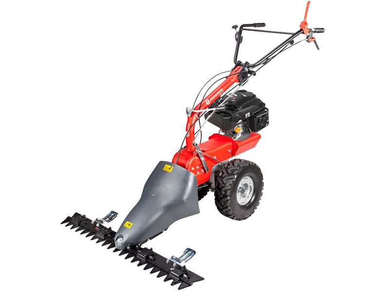 Eurosystems P70 EVO - Motosegadora multifunci&oacute;n de doble cuchilla - Rato RV200