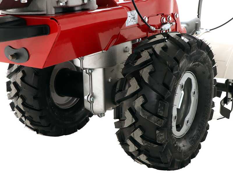 Eurosystems P70 EVO - Motosegadora multifunci&oacute;n de doble cuchilla - Rato RV200