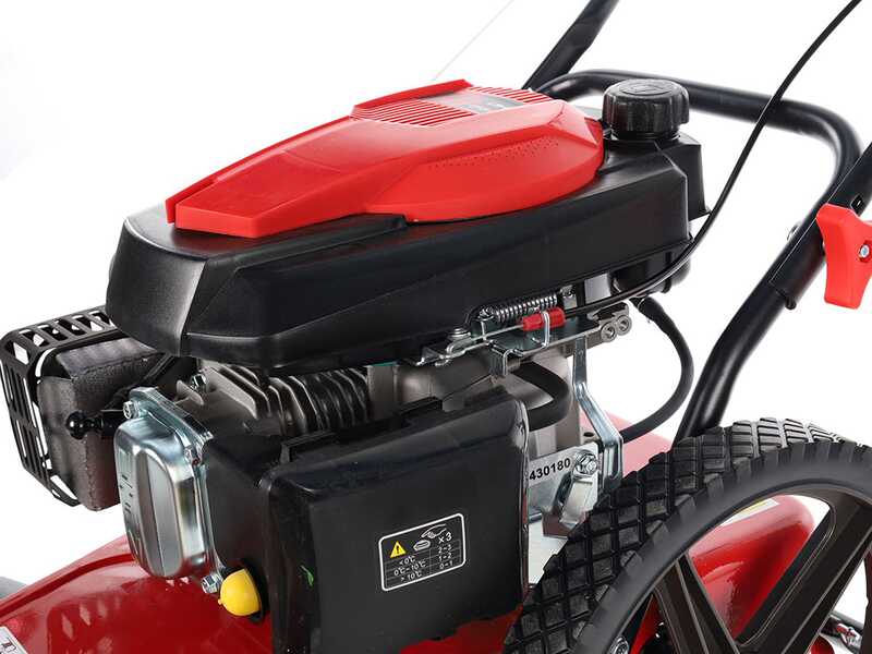 Blue Bird TrimTech W - Desbrozadora de ruedas de gasolina 4 tiempos de empuje