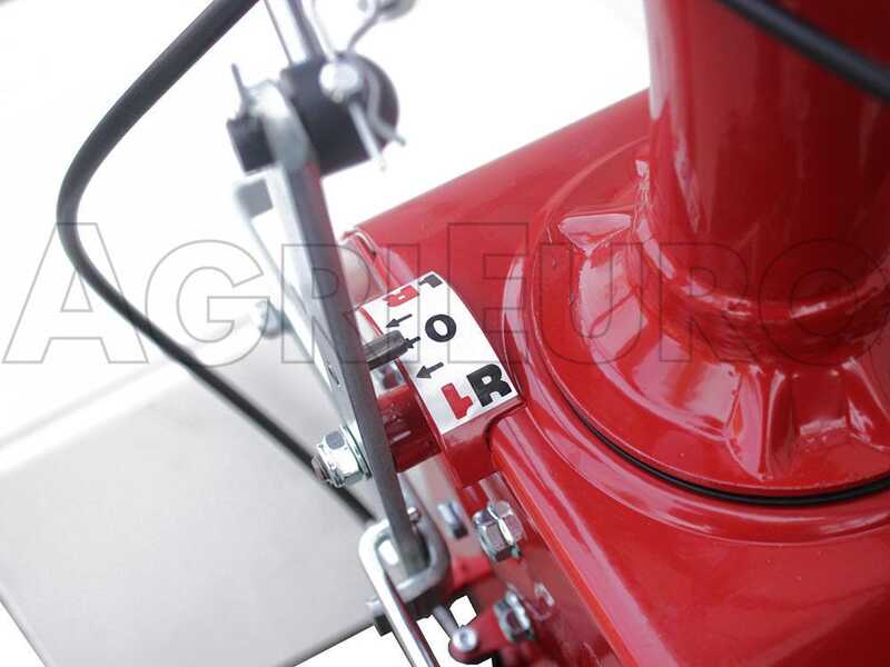 Eurosystems P55 EVO - Desbrozadora de gasolina - Falciatutto PRO V2 - B&amp;S 675 iSi