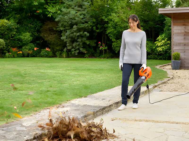 Black &amp; Decker BEBL185-QS - Soplador manual el&eacute;ctrico - 1850W