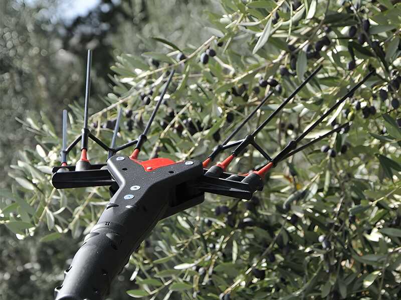 Castellari Vertigo L 18V - Vareador de aceitunas el&eacute;ctrico de bater&iacute;a 18V 7.8Ah - P&eacute;rtiga telesc&oacute;pica en aluminium 240/330 cm