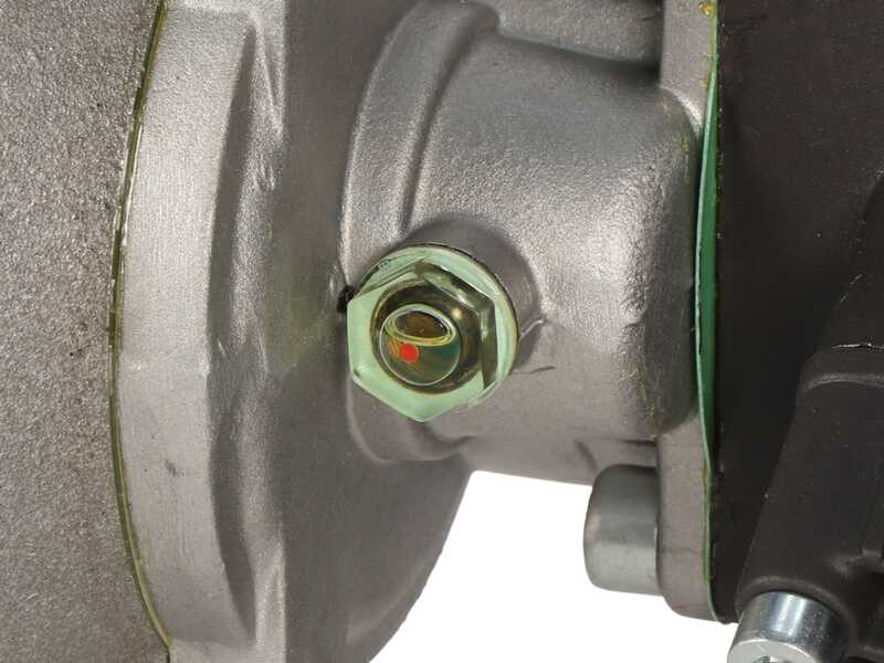 Bertolini Pumps PA 330.1 VF - Motobomba el&eacute;ctrica para pulverizaci&oacute;n