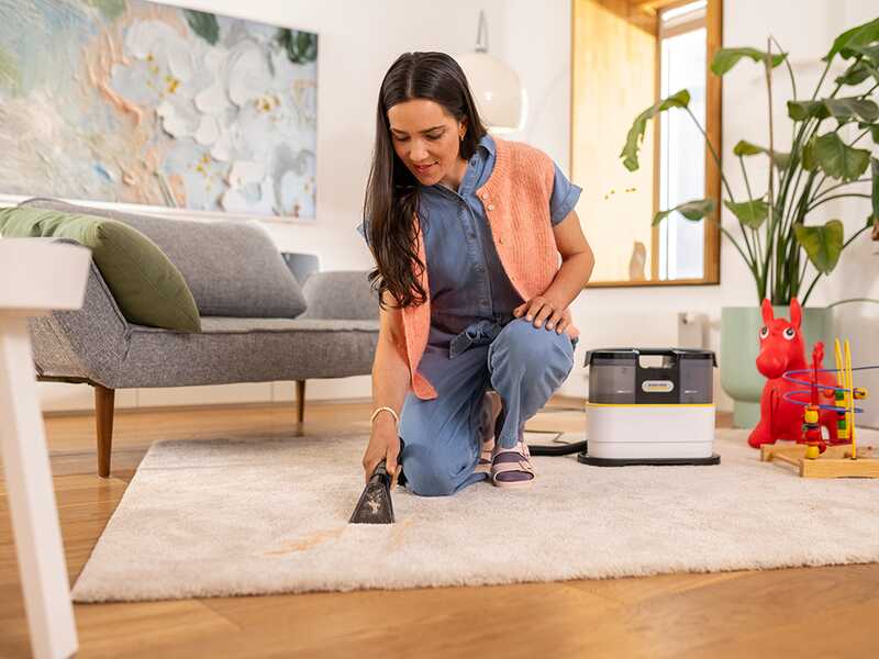 Karcher SE 2 Spot Care - Lavamoquetas - Aspirador de l&iacute;quidos port&aacute;til - 450 W