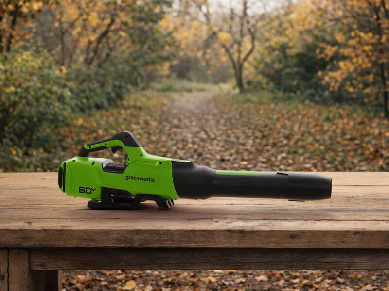 Greenworks BL2206H - Soplador axial a bater&iacute;a - BATER&Iacute;A Y CARGADOR NO EST&Aacute;N INCLUIDOS