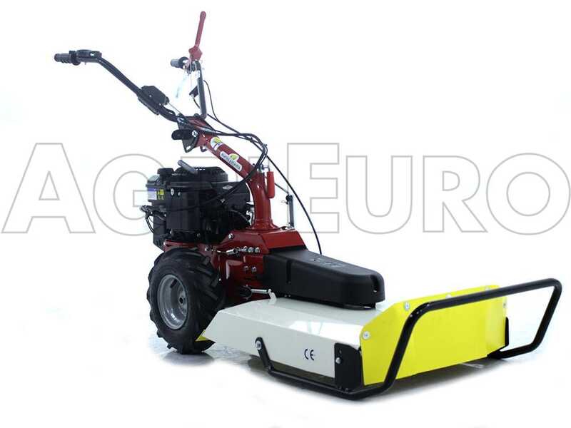 Desbrozadora de ruedas Eurosystems P55 , en oferta en AgriEuro