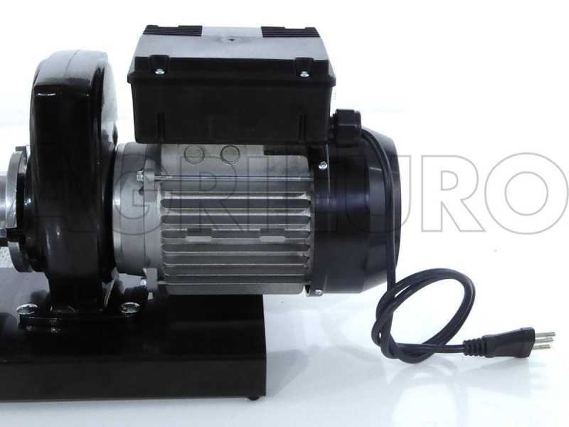 Palumbo Pavi SM 5 INOX - Trituradora de tomate con motor el&eacute;ctrico 600W 220V