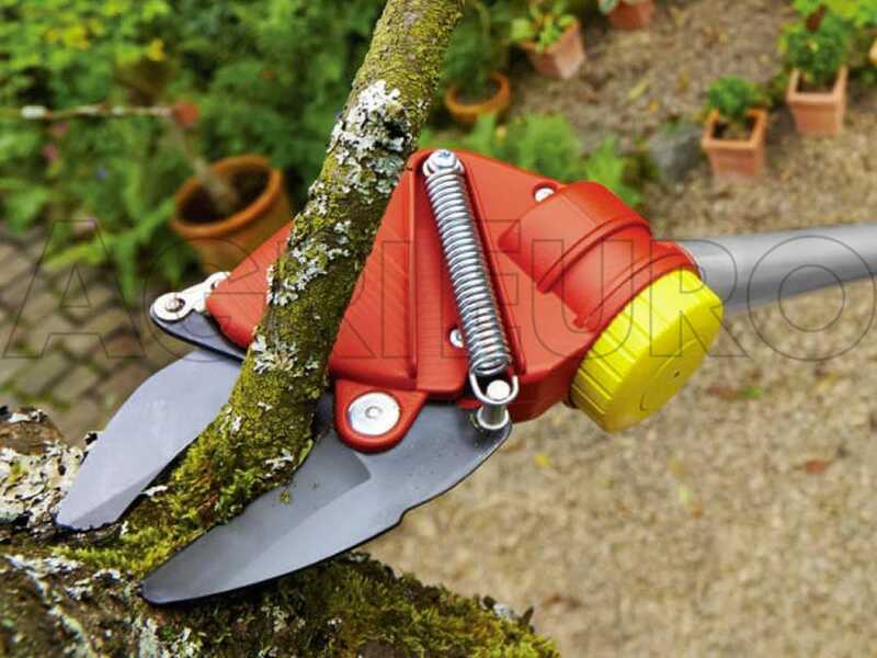 Cortarramas profesional WOLF Garten RR 200 , en oferta en AgriEuro