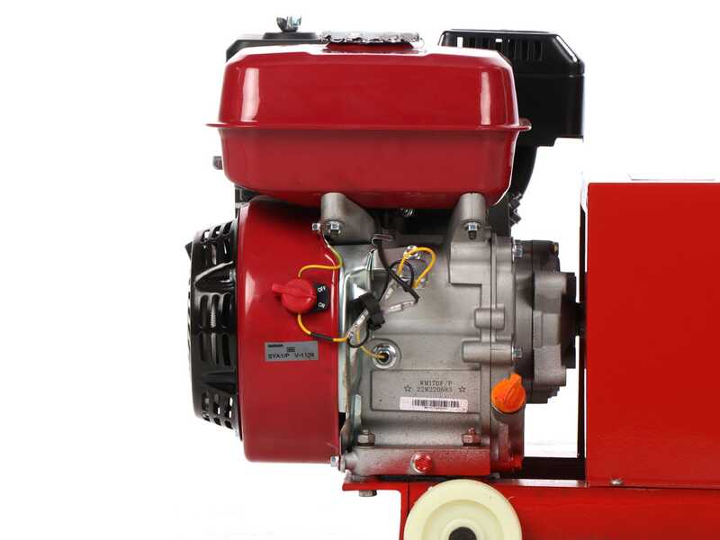 GeoTech Pro GWPM150 - Peletizadora de gasolina - Para hacer en casa pellets de calefacci&oacute;n