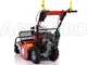 Ginko-MGM TT 680 - Desbrozadora profesional de martillos - Honda GX200