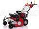 Ginko-MGM TT 680 - Desbrozadora profesional de martillos - Honda GX200