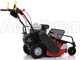 Ginko-MGM TT 680 - Desbrozadora profesional de martillos - Honda GX200