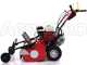 Ginko-MGM TT 680 - Desbrozadora profesional de martillos - Honda GX200