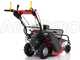 Ginko-MGM TT 680 - Desbrozadora profesional de martillos - Honda GX200
