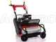 Ginko-MGM TT 680 - Desbrozadora profesional de martillos - Honda GX200