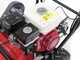Ginko-MGM TT 680 - Desbrozadora profesional de martillos - Honda GX200