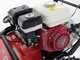 Ginko-MGM TT 680 - Desbrozadora profesional de martillos - Honda GX200