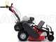 Ginko-MGM TT 680 - Desbrozadora profesional de martillos - Honda GX200