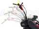 Ginko-MGM TT 680 - Desbrozadora profesional de martillos - Honda GX200