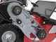 Ginko-MGM TT 786 - Desbrozadora profesional de martillos - Honda GX270