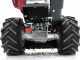Ginko-MGM TT 786 - Desbrozadora profesional de martillos - Honda GX270