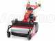 Ginko-MGM TT 786 - Desbrozadora profesional de martillos - Honda GX270