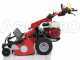 Ginko-MGM TT 786 - Desbrozadora profesional de martillos - Honda GX270