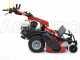 Ginko-MGM TT 786 - Desbrozadora profesional de martillos - Honda GX270