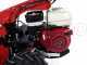 Ginko-MGM TT 786 - Desbrozadora profesional de martillos - Honda GX270