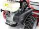 Ginko-MGM TT 786 - Desbrozadora profesional de martillos - Honda GX270